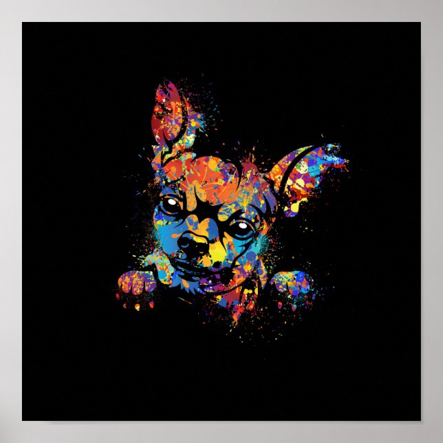 Färgstark Cute Chihuahua Poster (Framsidan)