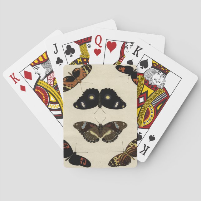 Färgstark fjärilsmussla på Cream-bakgrunden Casinokort (Baksidan)