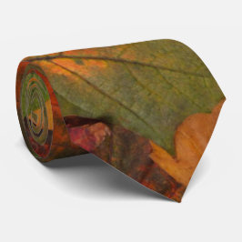 Färgstark höst slips