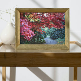 Färgstark höstträdgården Väg-natur Fototryck