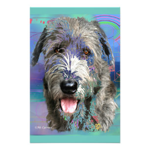 Färgstark irländsk Wolfhound-fotoskrift Skriv ut Fototryck