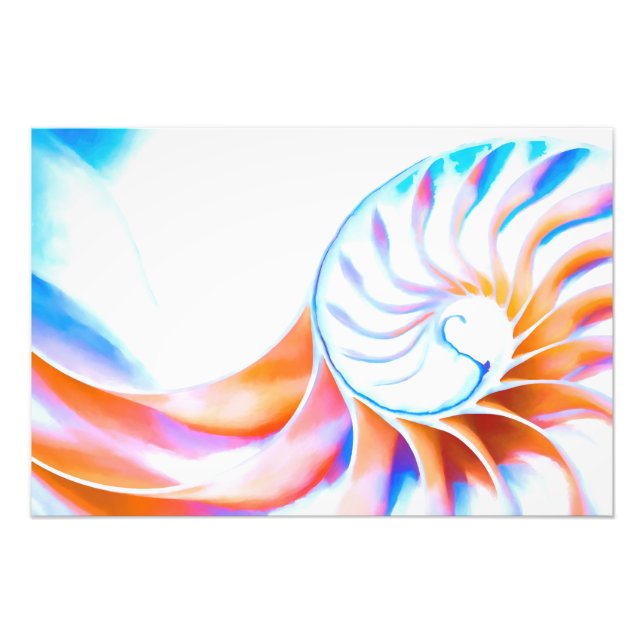 Färgstark Nautilus Fototryck (Framsidan)