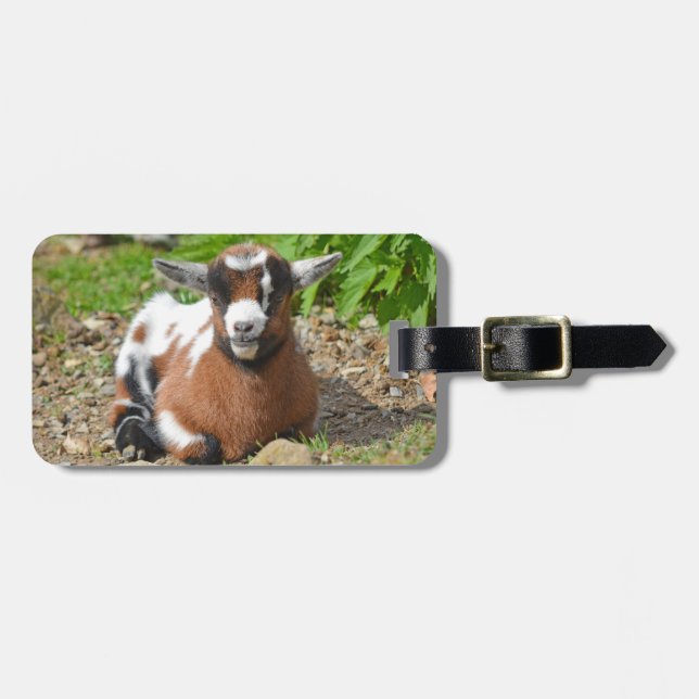 Färgstark nigeriansk dvärgbössa bagagebricka (Horisontell Framsida)