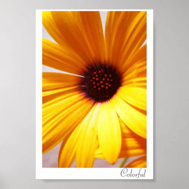 Färgstark Poster (Framsidan)