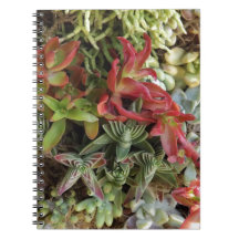 Färgstark självklar