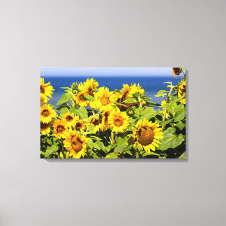 Färgstark solrosa i blomning canvastryck