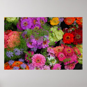 färgstarka daisy poster