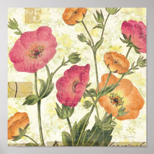 Färgstarka Daisy Poster (Framsidan)