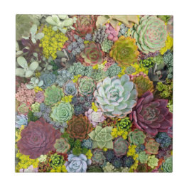 Färgstarka gröna förekomster kakelplatta