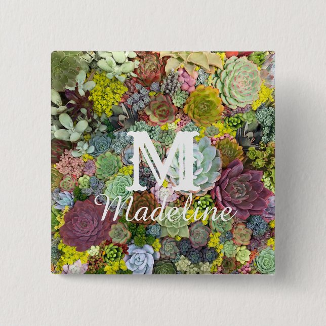 Färgstarka gröna Succulents Knapp (Framsida)