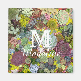 Färgstarka gröna Succulents Magnet