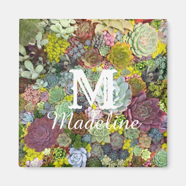 Färgstarka gröna Succulents Magnet (Framsidan)