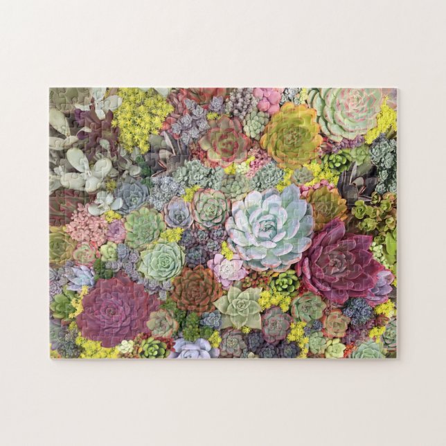 Färgstarka gröna Succulents Pussel (Horisontell)