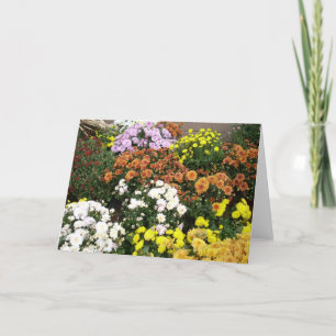 Färgstarka höstblommor helgkort