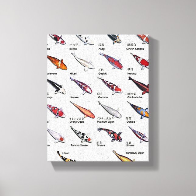 Färgstarka koifisksorter Nishikigoi Asian Art Canvastryck (Framsida)
