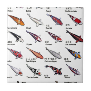 Färgstarka koifisksorter Nishikigoi Asian Art Kakelplatta