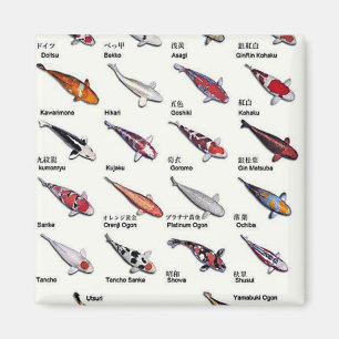 Färgstarka koifisksorter Nishikigoi Asian Art Magnet