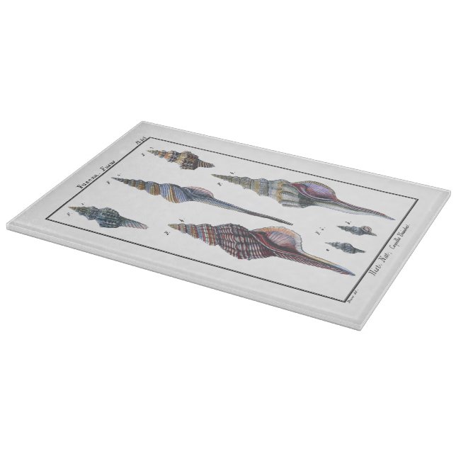 Färgstarka sju seasheller (Hörn)