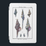 Färgstarka sju seasheller iPad mini skydd<br><div class="desc">Konstnären Denis Diderot är begåvad och känd för sitt underbara havsliv i bilder. I den här levande bilden fångar han sju färgfulla Conch-seashceller i sitt mest naturliga och unika stilar. Conches är ofta förvrängda och kom i alla former och storlekar. Skaffa din årstidsprodukt idag och njut av bilden av havet...</div>