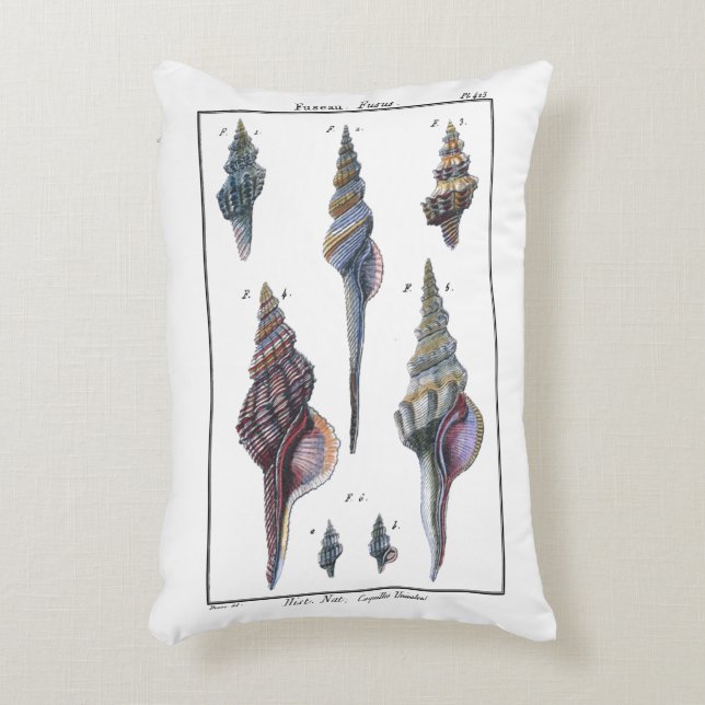 Färgstarka sju seasheller prydnadskudde (Framsidan(Vertikal))