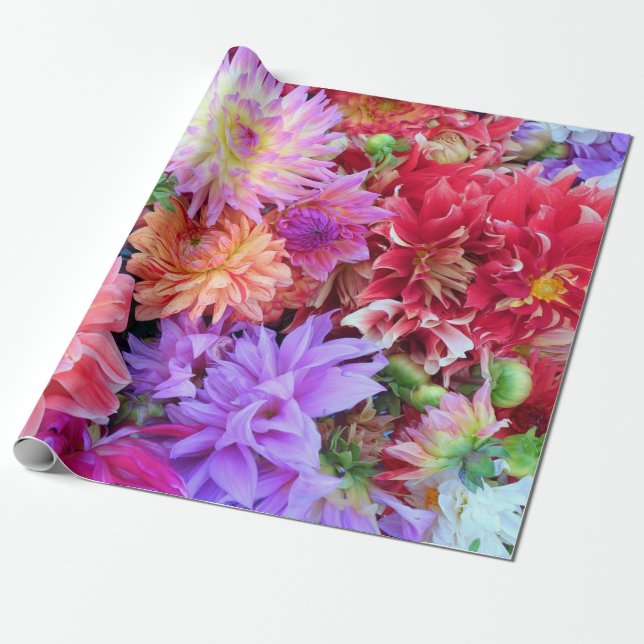 Färgstarka vibrant Dahlia Flowers Presentpapper (Utrullad)