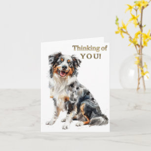 Färgt hälsningskort för Australian shepherd Kort