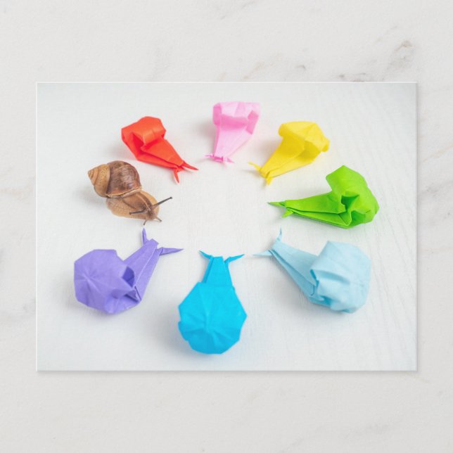 Färgt Snigel vykort (Framsida)