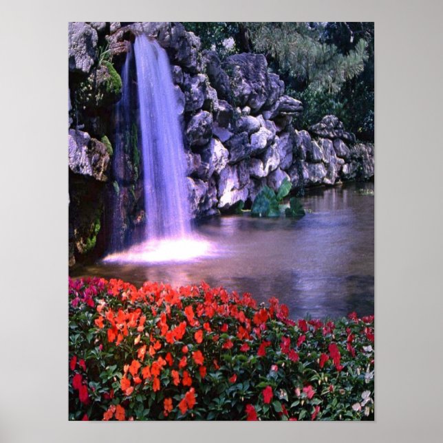 Färgvatten med blommor poster (Framsidan)