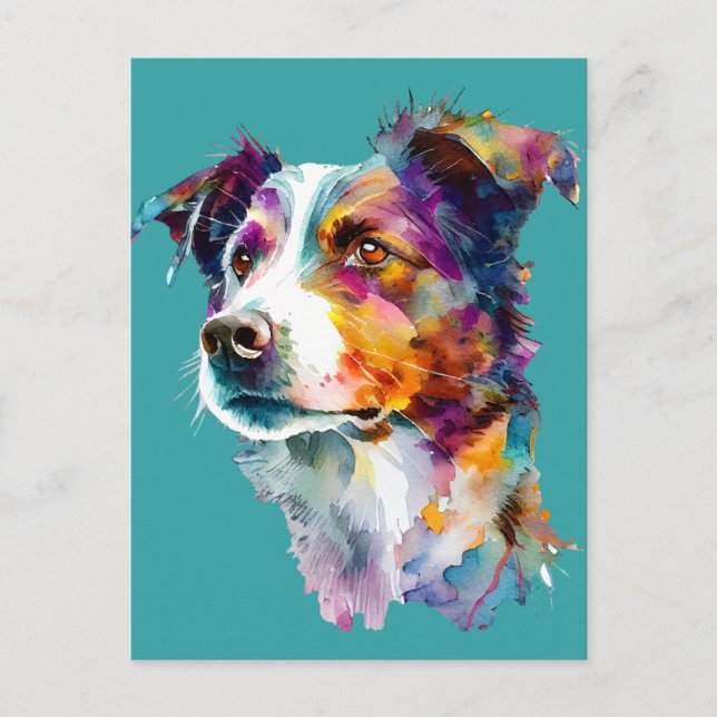 Färgvatten Porträtt i Gräns Collie Hund Vykort (Framsida)