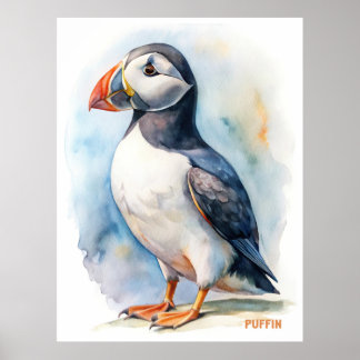 Färgvykort för puffin poster