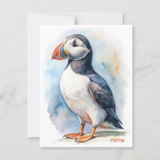 Färgvykort för puffin vykort