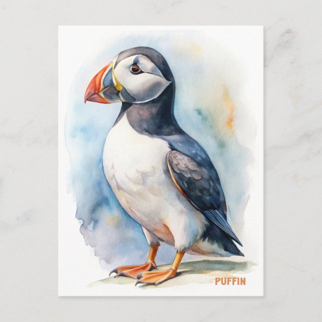Färgvykort för puffin vykort (Framsida)