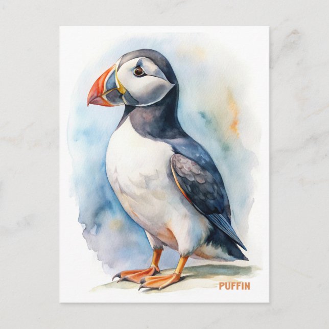 Färgvykort för puffin vykort (Framsida)