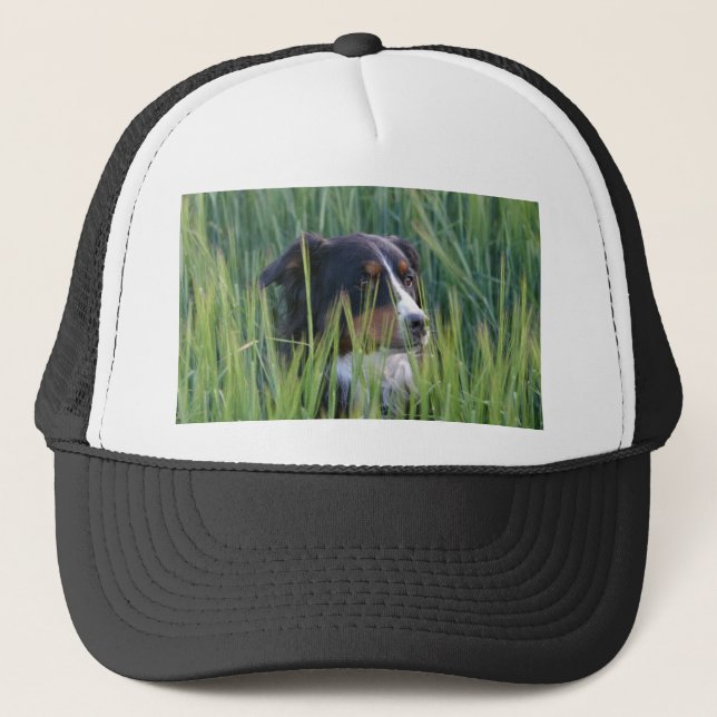 Fårhund i gräs keps (Framsida)
