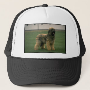 Fårhundbild Keps