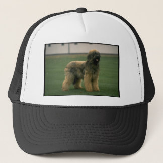 Fårhundbild Keps