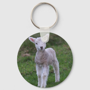 Fårhusdjur av lamm Baby Nyckelring