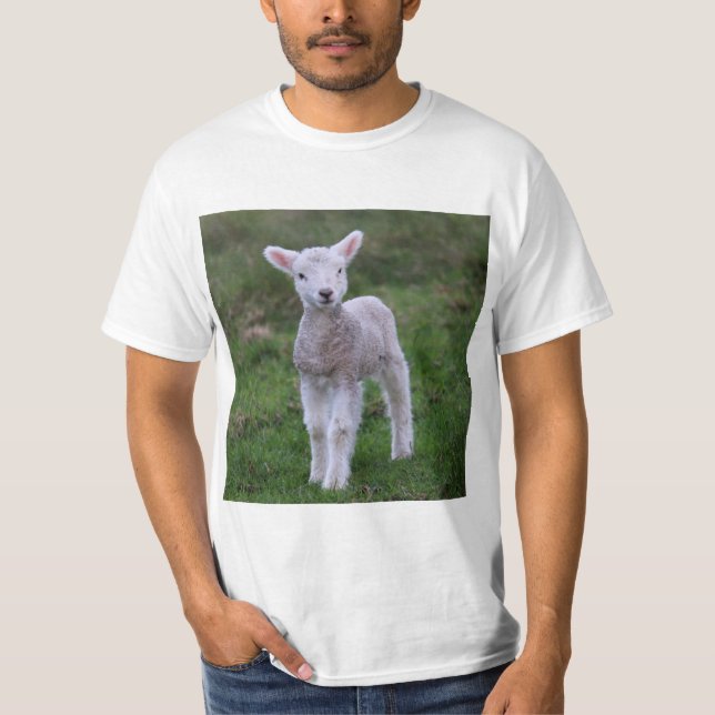 Fårhusdjur av lamm Baby T Shirt (Framsida)
