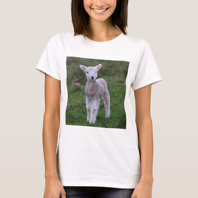 Fårhusdjur av lamm Baby T Shirt (Framsida)