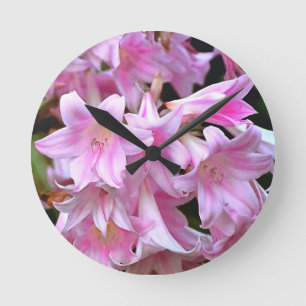 Fårik Rosa Belladonna Amaryllis Lilies Rund Klocka