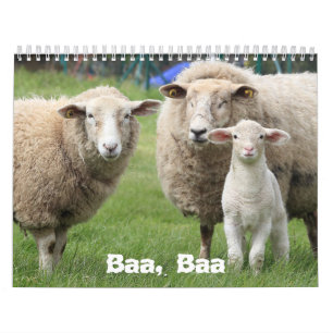 Fårkalender Älskare, fårfoto Kalender