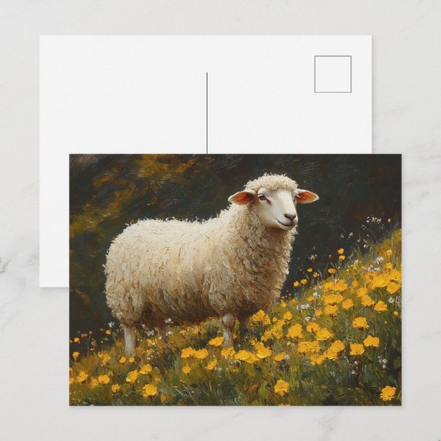 Fårkoppsblommor Vykort (Fram/baksida)