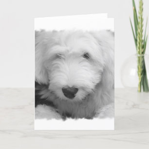 Fårkort för fotohälsning av får-Hund Kort