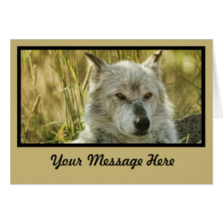 Farlig Lugn i tan Hälsningskort