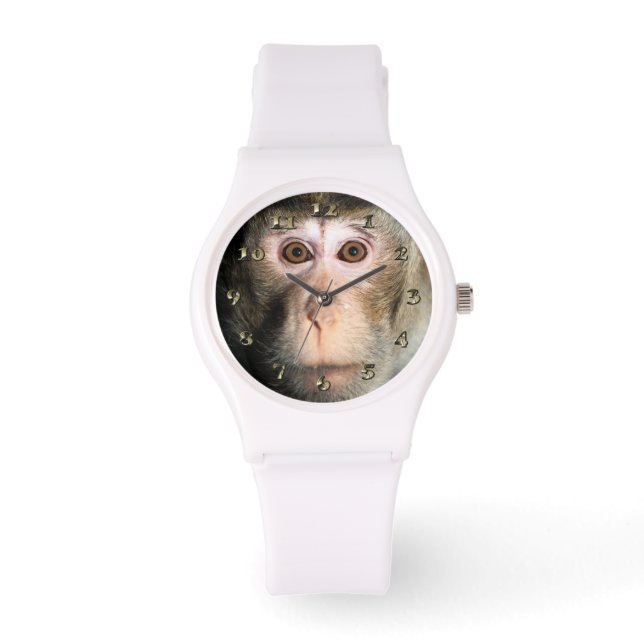 Farlig regnskogsapa armbandsur (Framsida)