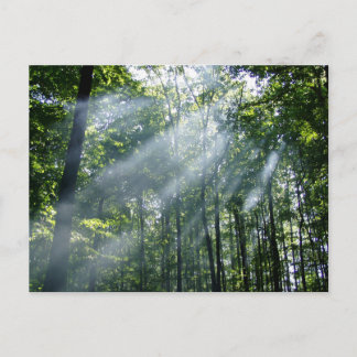 Farlig stabilitet vykort