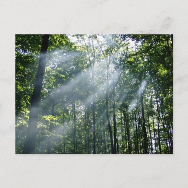 Farlig stabilitet vykort (Framsida)