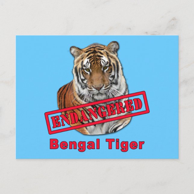 Farliga bengaltigerprodukter vykort (Framsida)