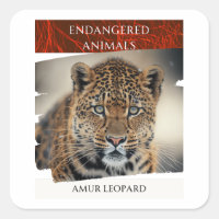 Farliga djur - Amur Leopard