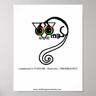Farligt djur - Leadbeaters POSSUM-Australien Poster